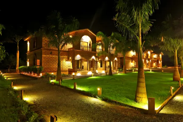 Night-lit landscape garden with glowing pathway and plants