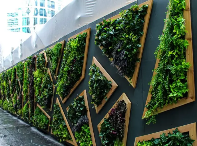 ommercial vertical garden installation on building facade