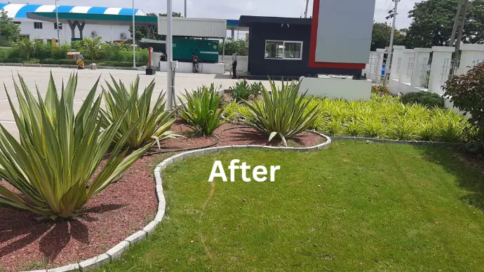 After landscape development at residential site with green turf